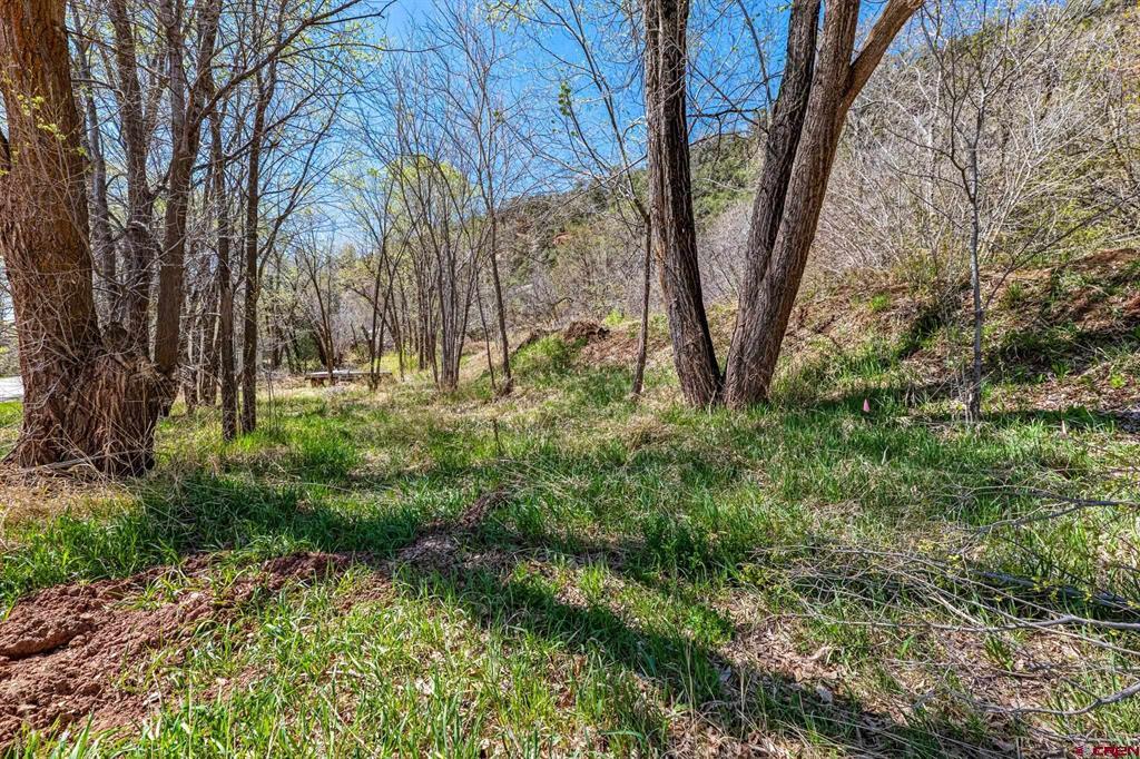4343 County Road 203 Durango CO 81301