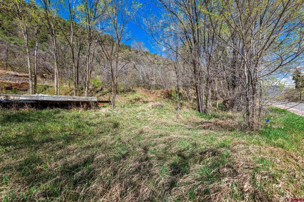 4343 County Road 203 Durango CO 81301