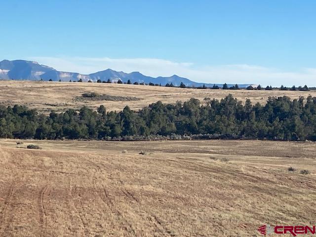Tbd Road 18 Cortez CO 81321