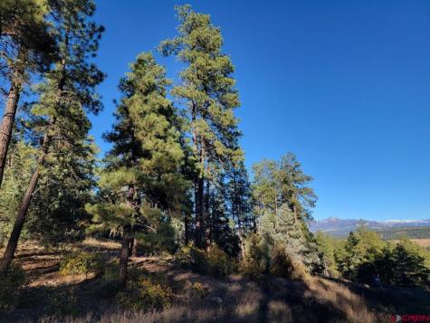 21 Echo Lake Access Easement Pagosa Springs CO 81147