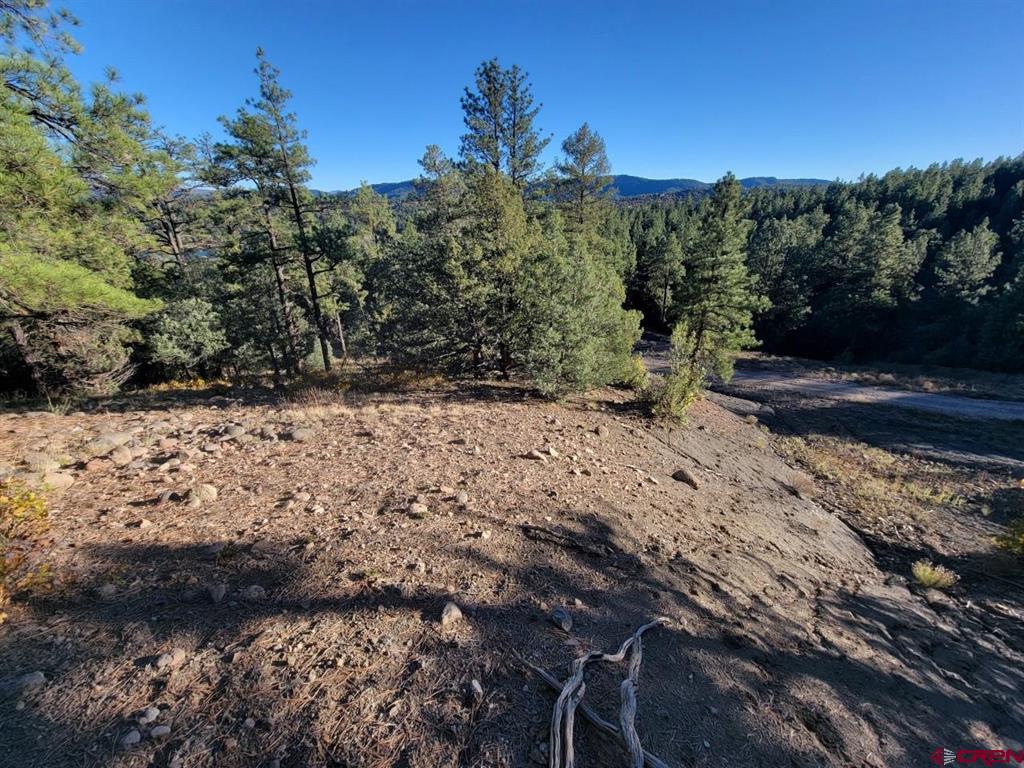 21 Echo Lake Access Easement Pagosa Springs CO 81147