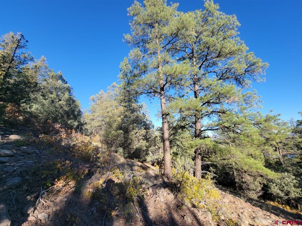 21 Echo Lake Access Easement Pagosa Springs CO 81147