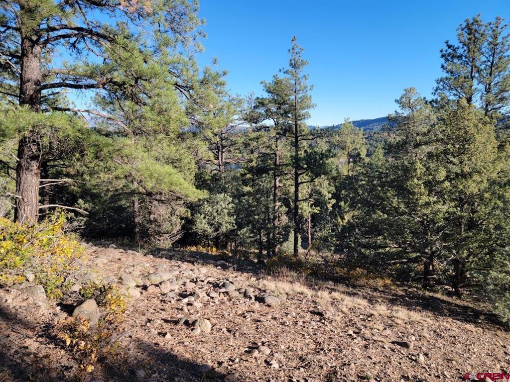 21 Echo Lake Access Easement Pagosa Springs CO 81147
