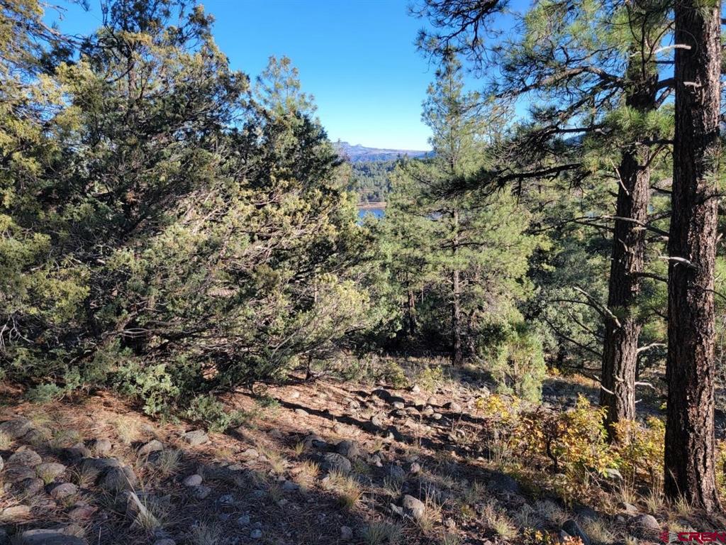 21 Echo Lake Access Easement Pagosa Springs CO 81147