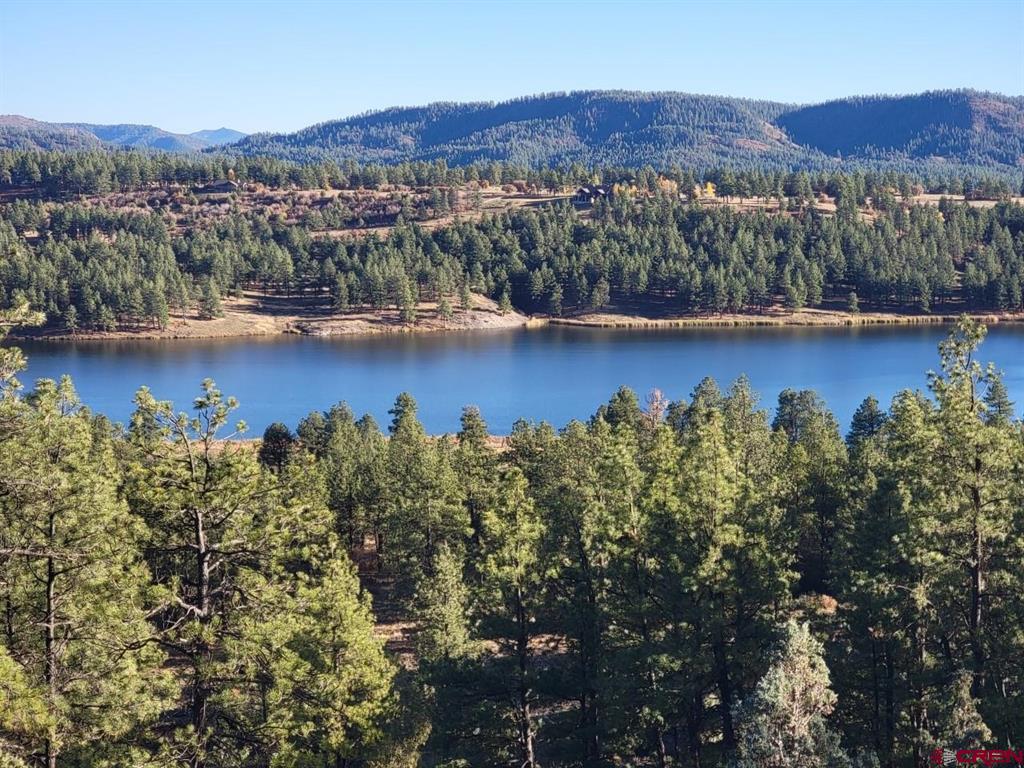 21 Echo Lake Access Easement Pagosa Springs CO 81147