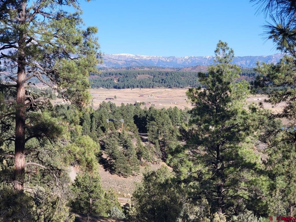 21 Echo Lake Access Easement Pagosa Springs CO 81147