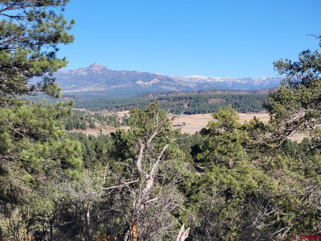 21 Echo Lake Access Easement Pagosa Springs CO 81147