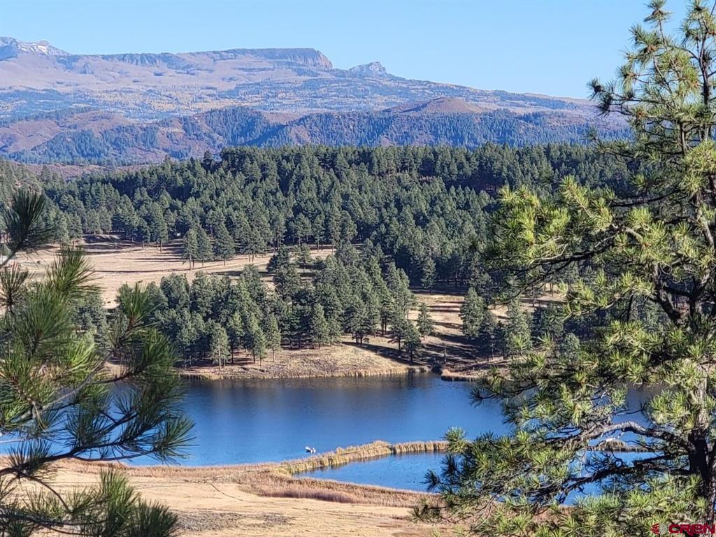 21 Echo Lake Access Easement Pagosa Springs CO 81147