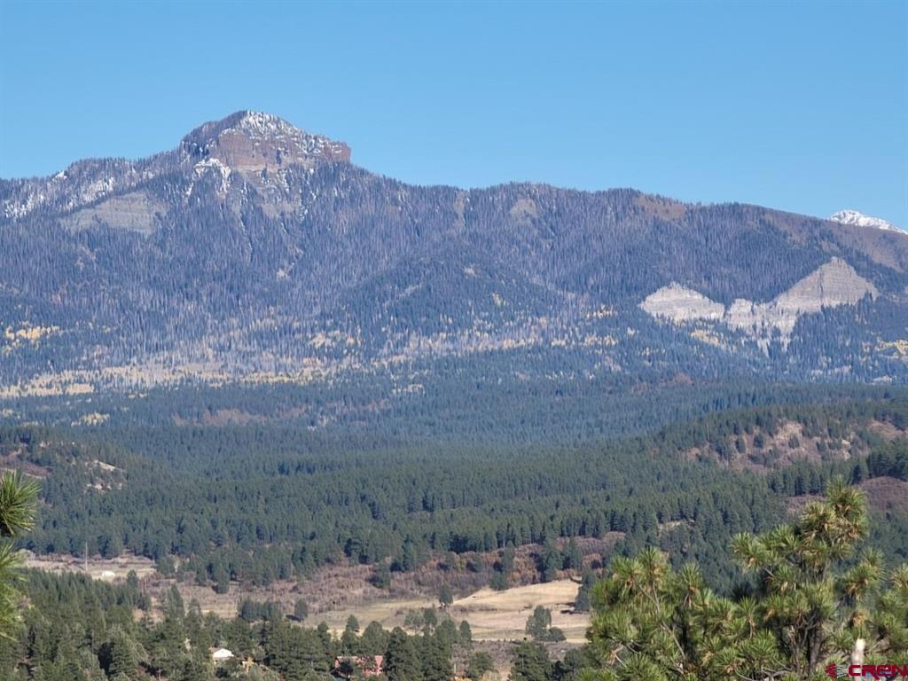 21 Echo Lake Access Easement Pagosa Springs CO 81147