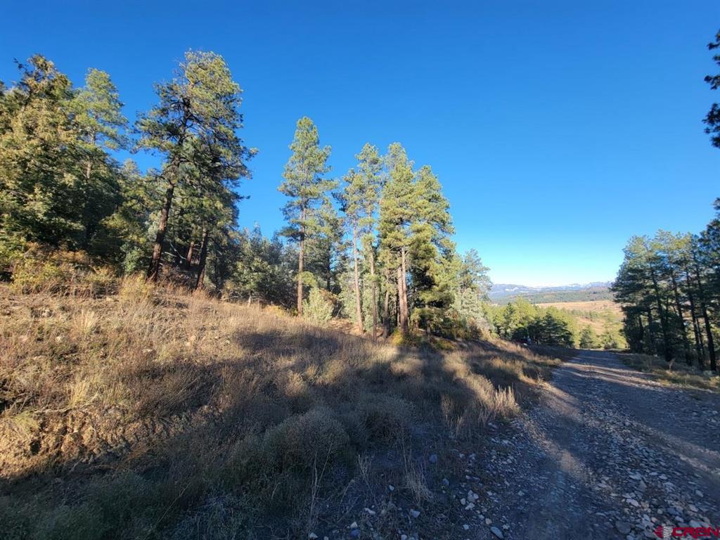 21 Echo Lake Access Easement Pagosa Springs CO 81147