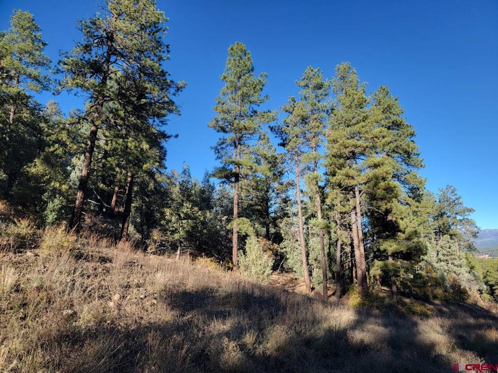 21 Echo Lake Access Easement Pagosa Springs CO 81147