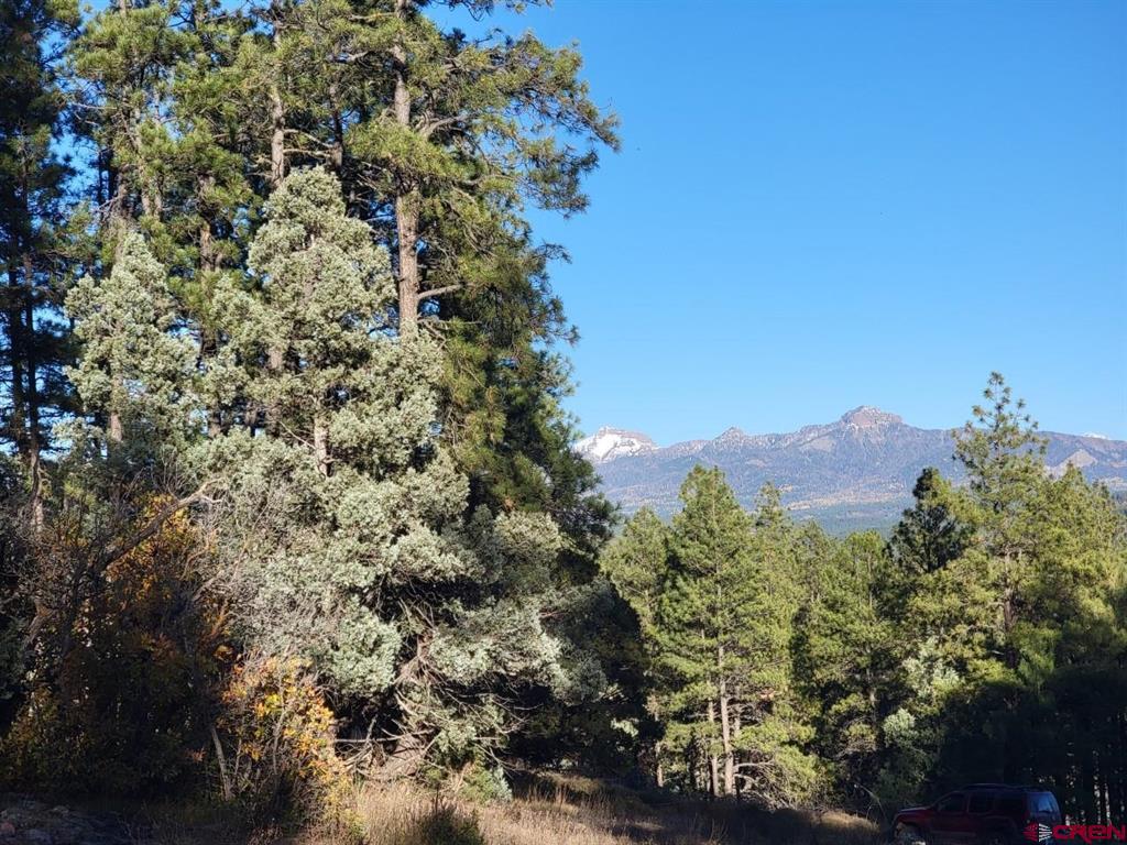 21 Echo Lake Access Easement Pagosa Springs CO 81147