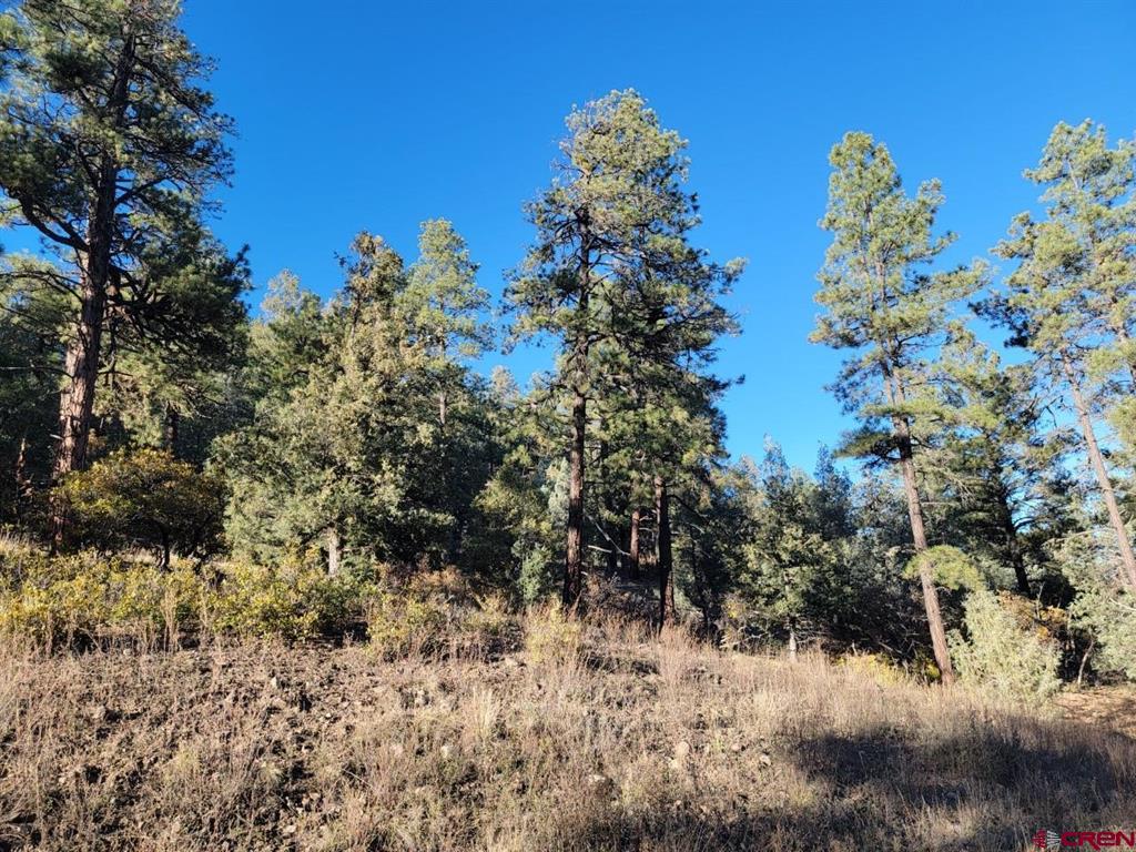 21 Echo Lake Access Easement Pagosa Springs CO 81147