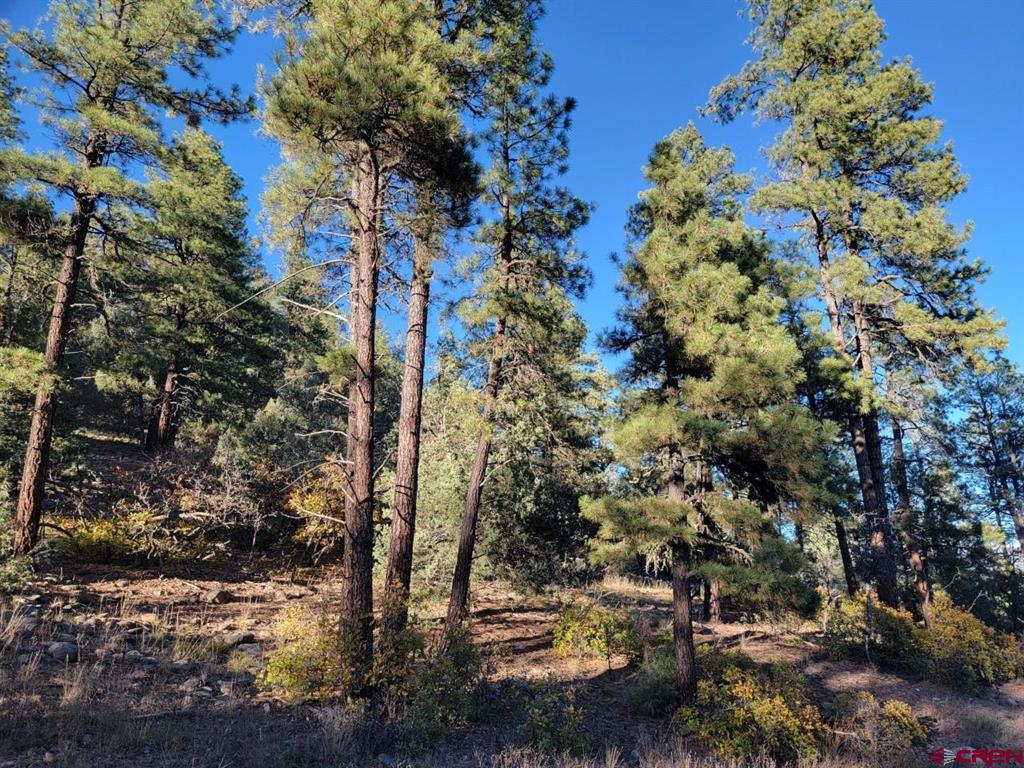 21 Echo Lake Access Easement Pagosa Springs CO 81147