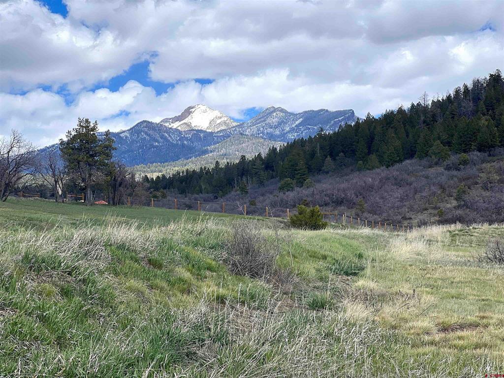 1121 Roush Drive Pagosa Springs CO 81147