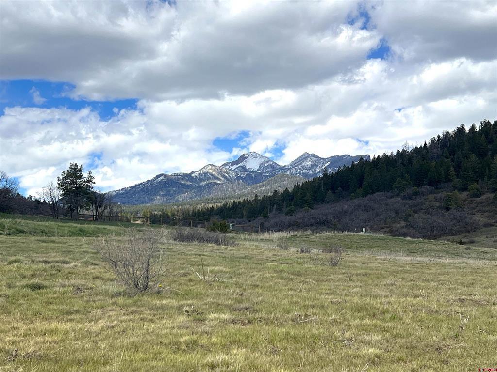 1121 Roush Drive Pagosa Springs CO 81147
