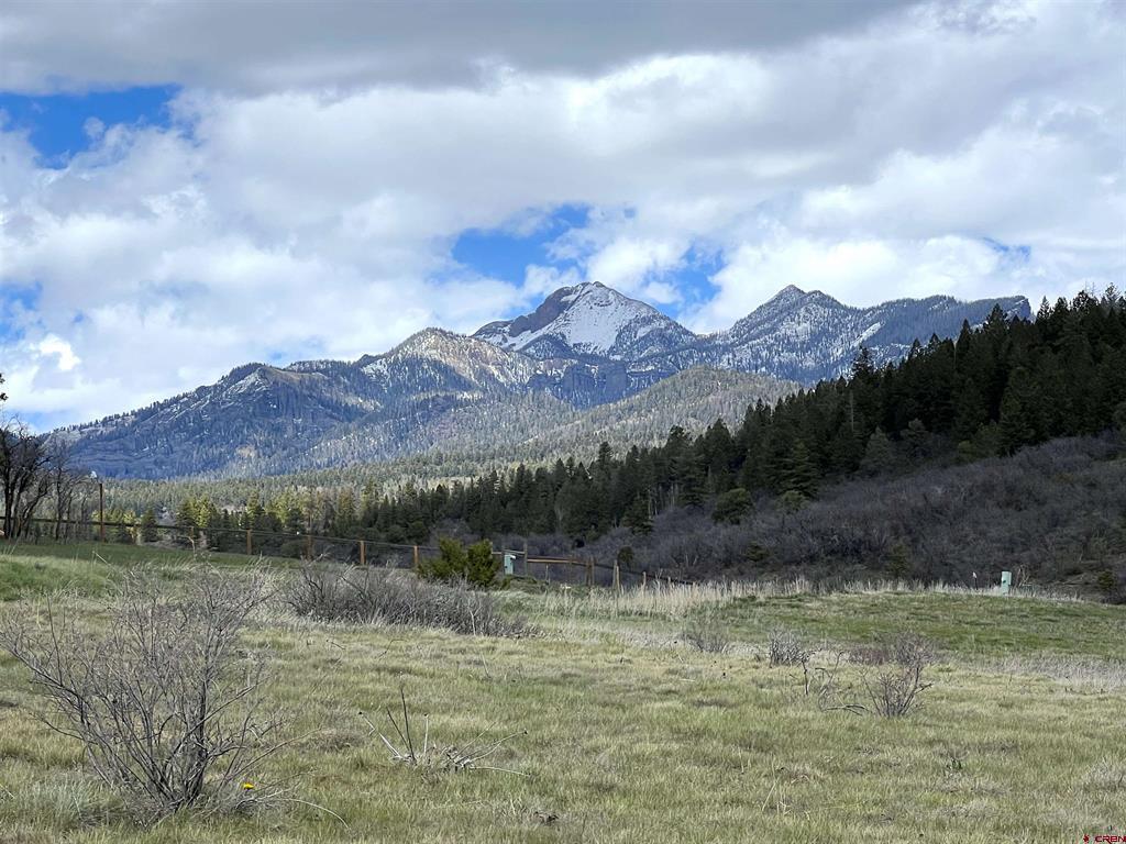 1121 Roush Drive Pagosa Springs CO 81147