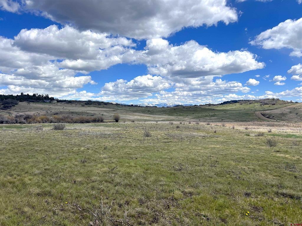 1121 Roush Drive Pagosa Springs CO 81147