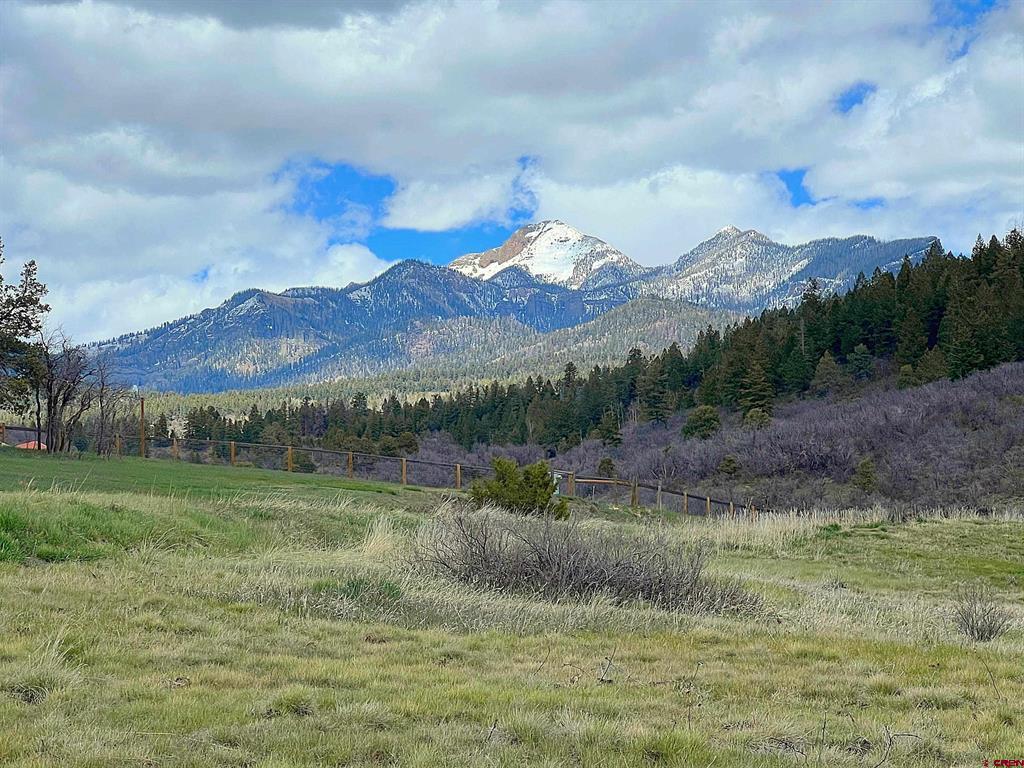 1121 Roush Drive Pagosa Springs CO 81147