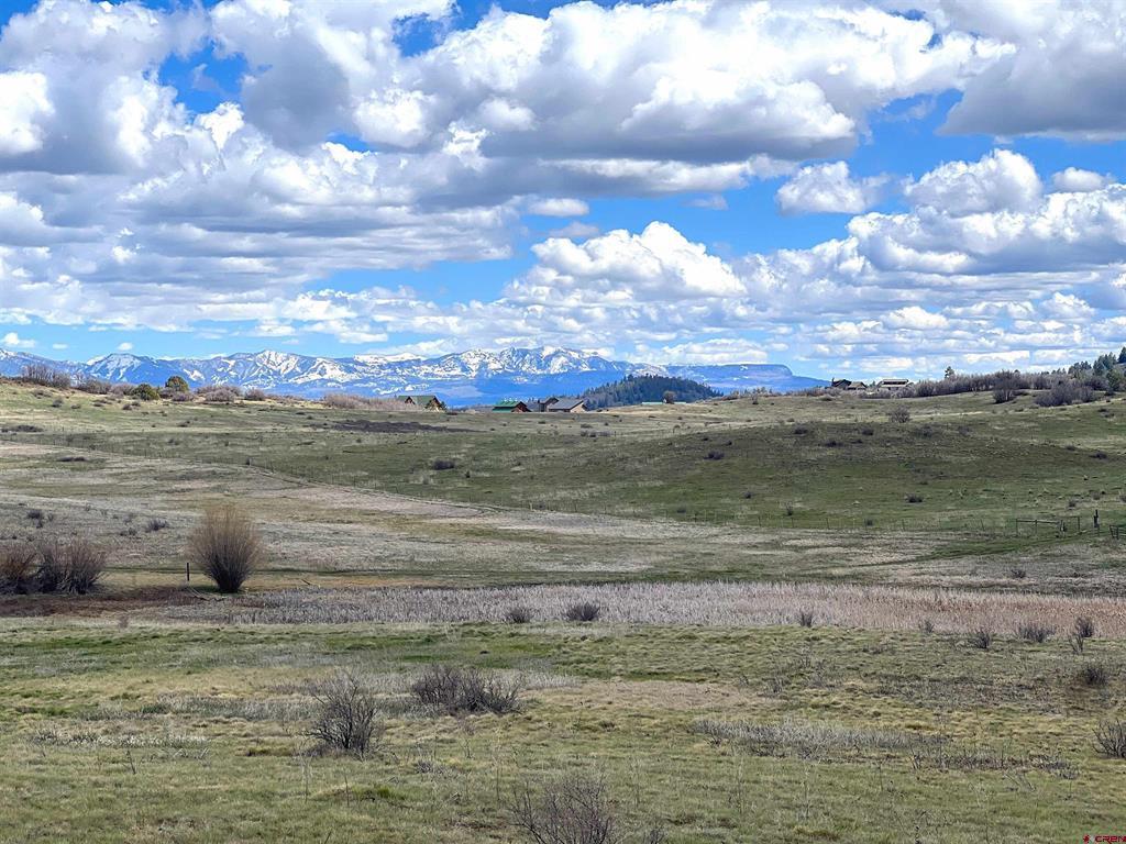 1121 Roush Drive Pagosa Springs CO 81147