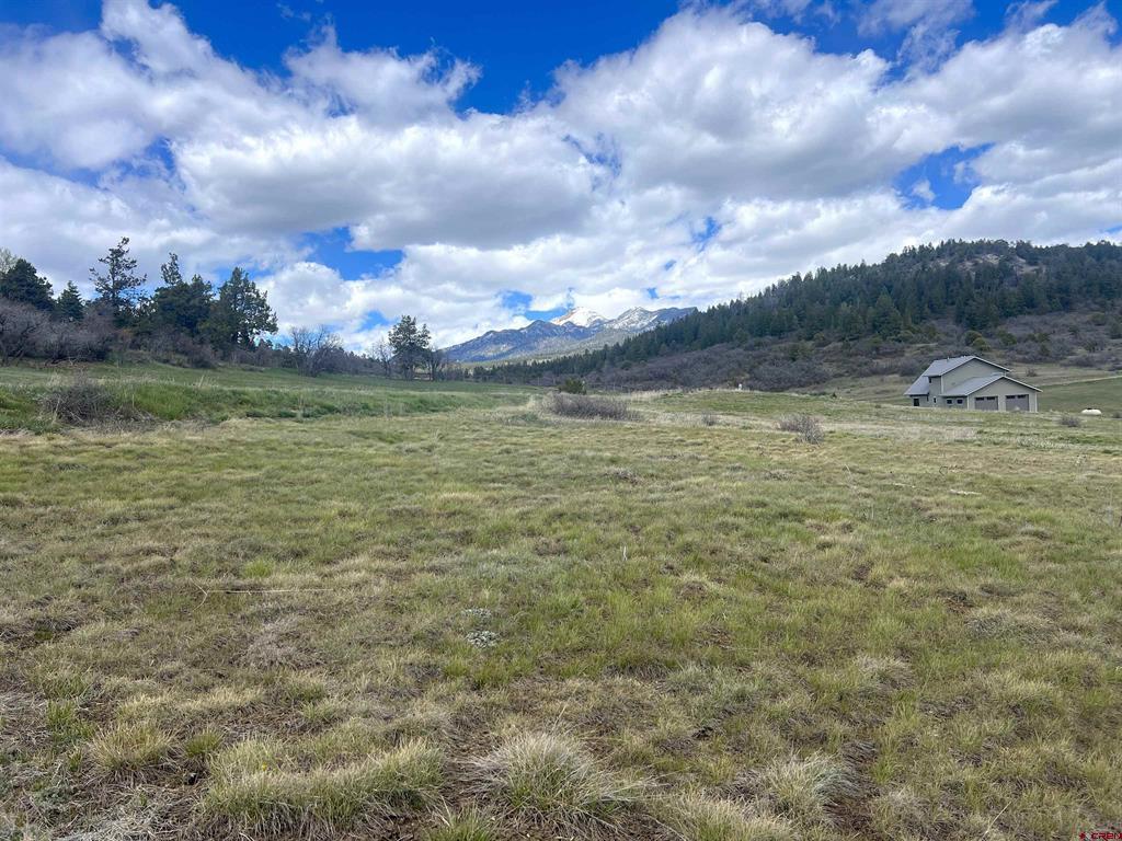 1121 Roush Drive Pagosa Springs CO 81147