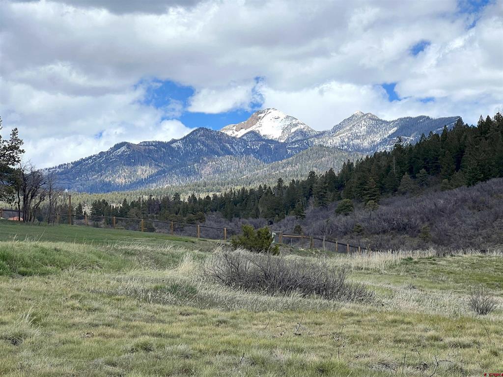 1121 Roush Drive Pagosa Springs CO 81147