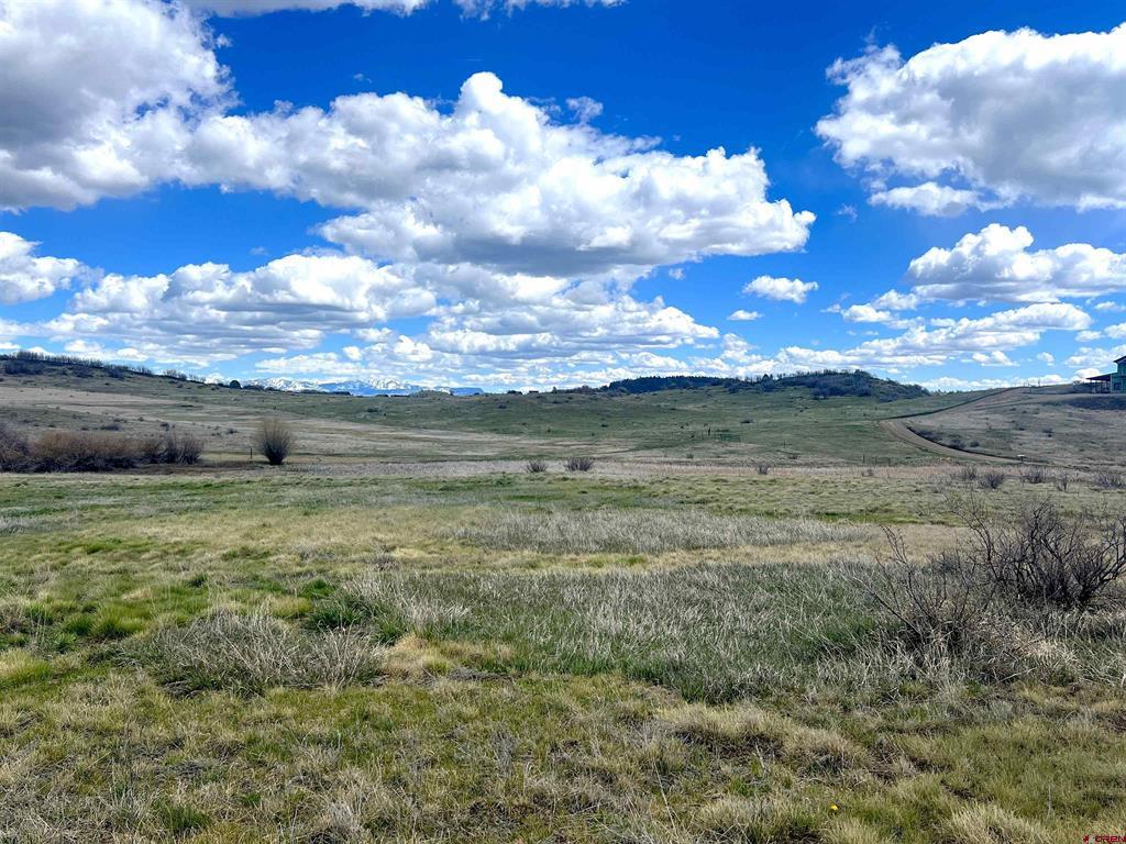 1121 Roush Drive Pagosa Springs CO 81147