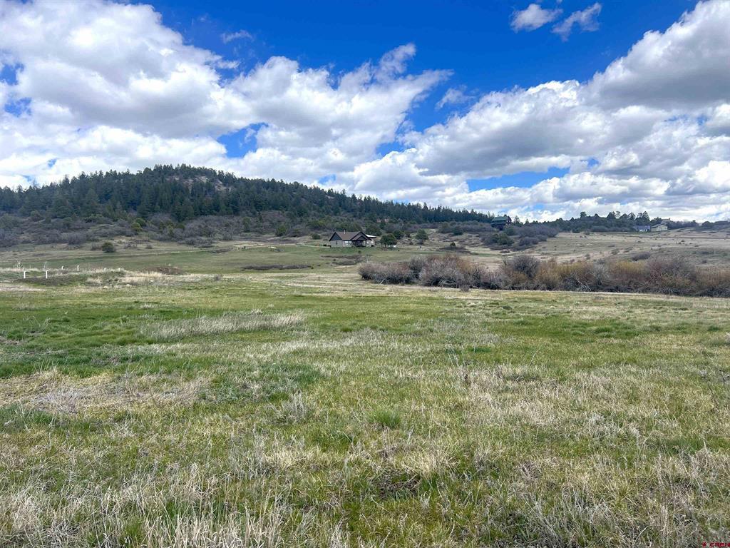1121 Roush Drive Pagosa Springs CO 81147