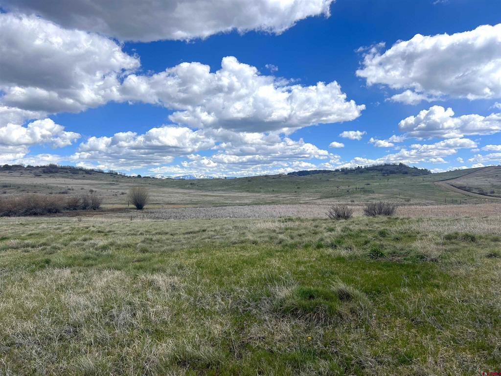 1121 Roush Drive Pagosa Springs CO 81147