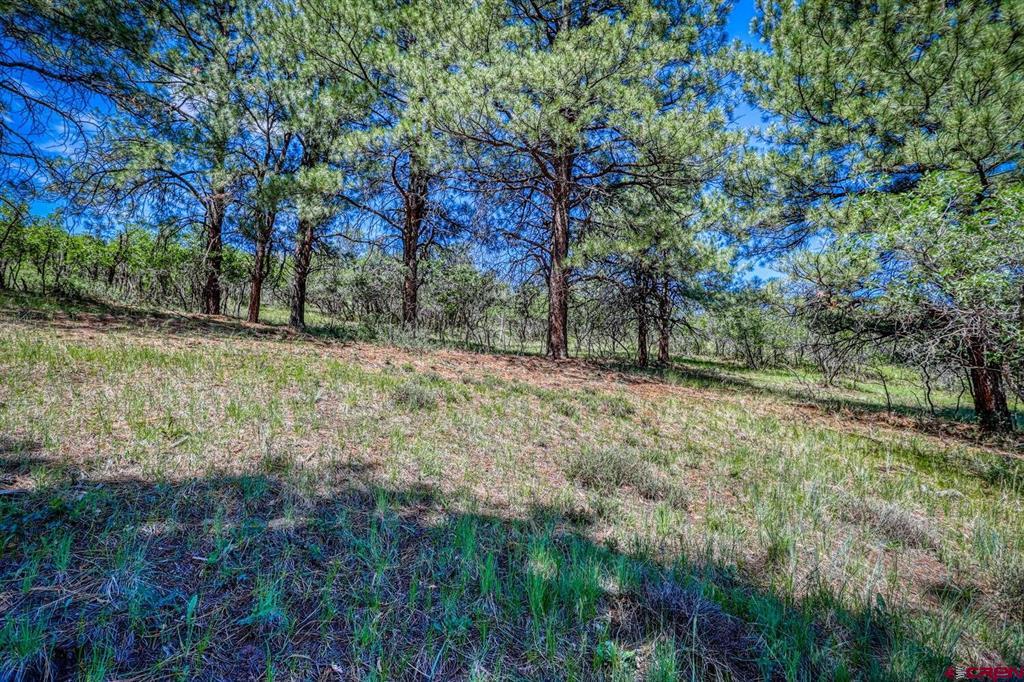 1084 Crowley Drive Chromo CO 81147