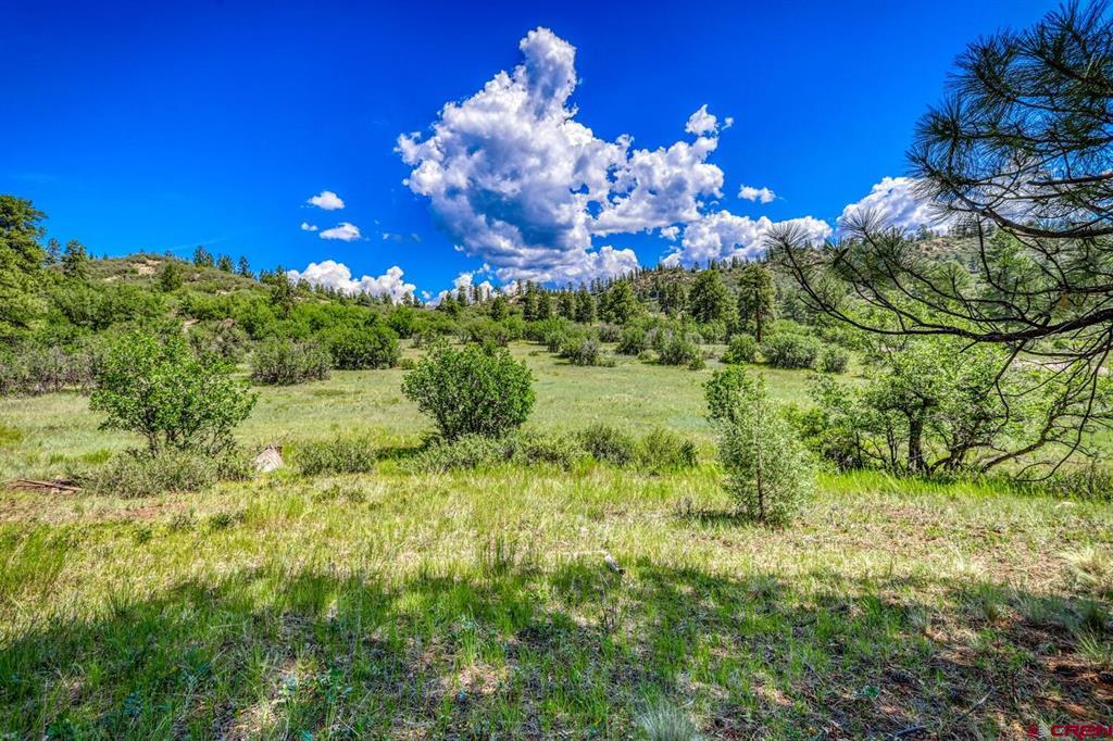 1084 Crowley Drive Chromo CO 81147