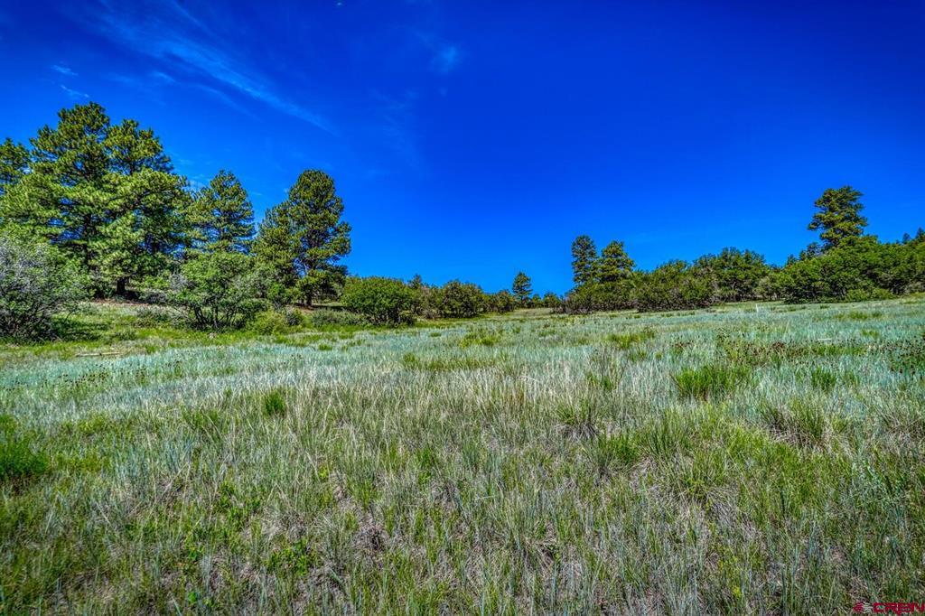 1084 Crowley Drive Chromo CO 81147
