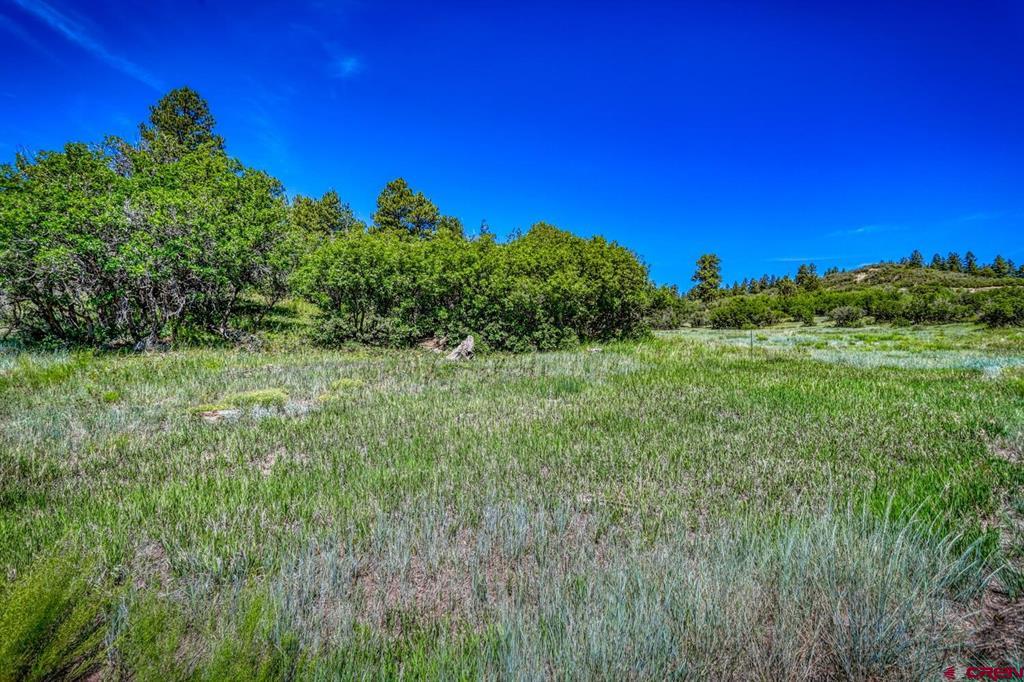 1084 Crowley Drive Chromo CO 81147