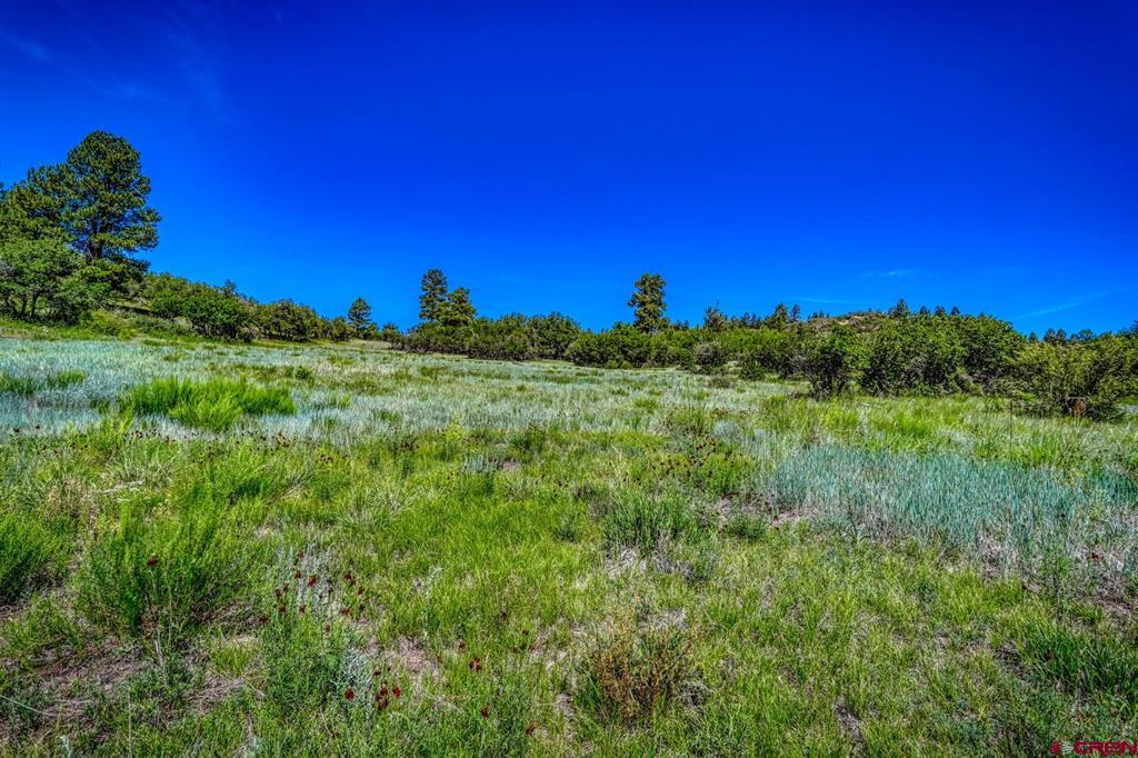 1084 Crowley Drive Chromo CO 81147