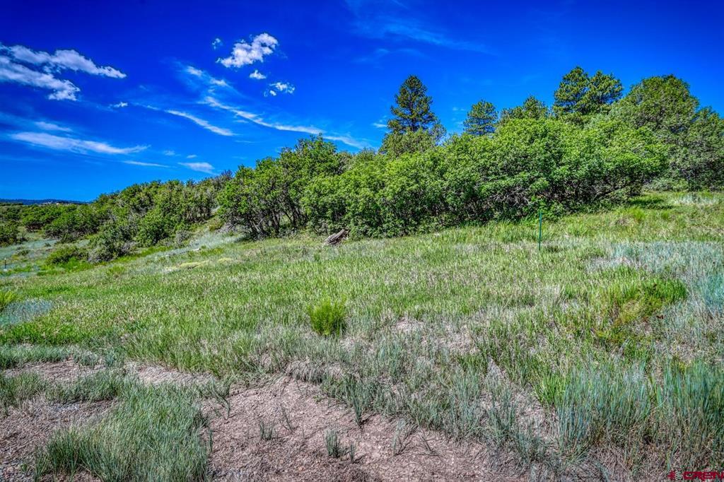 1084 Crowley Drive Chromo CO 81147