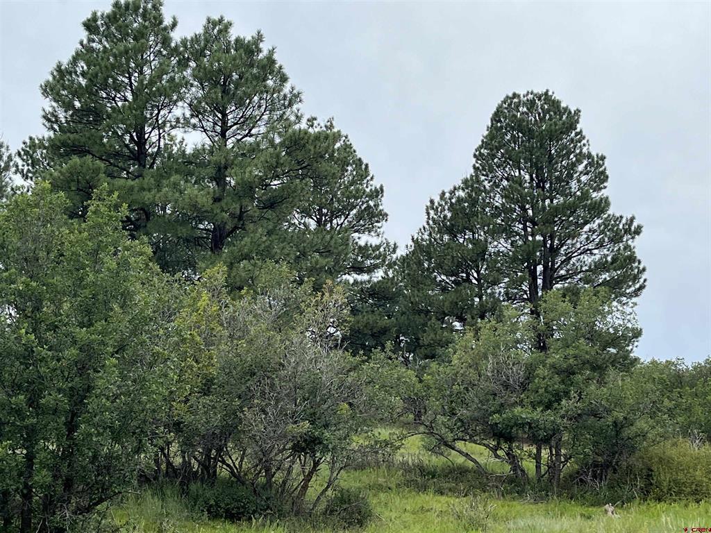 1084 Crowley Drive Chromo CO 81147