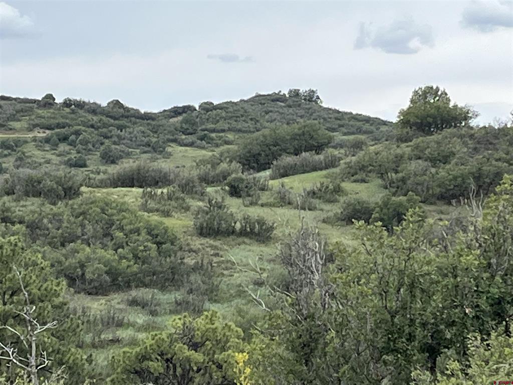 1084 Crowley Drive Chromo CO 81147