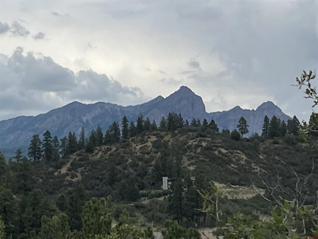 1084 Crowley Drive Chromo CO 81147