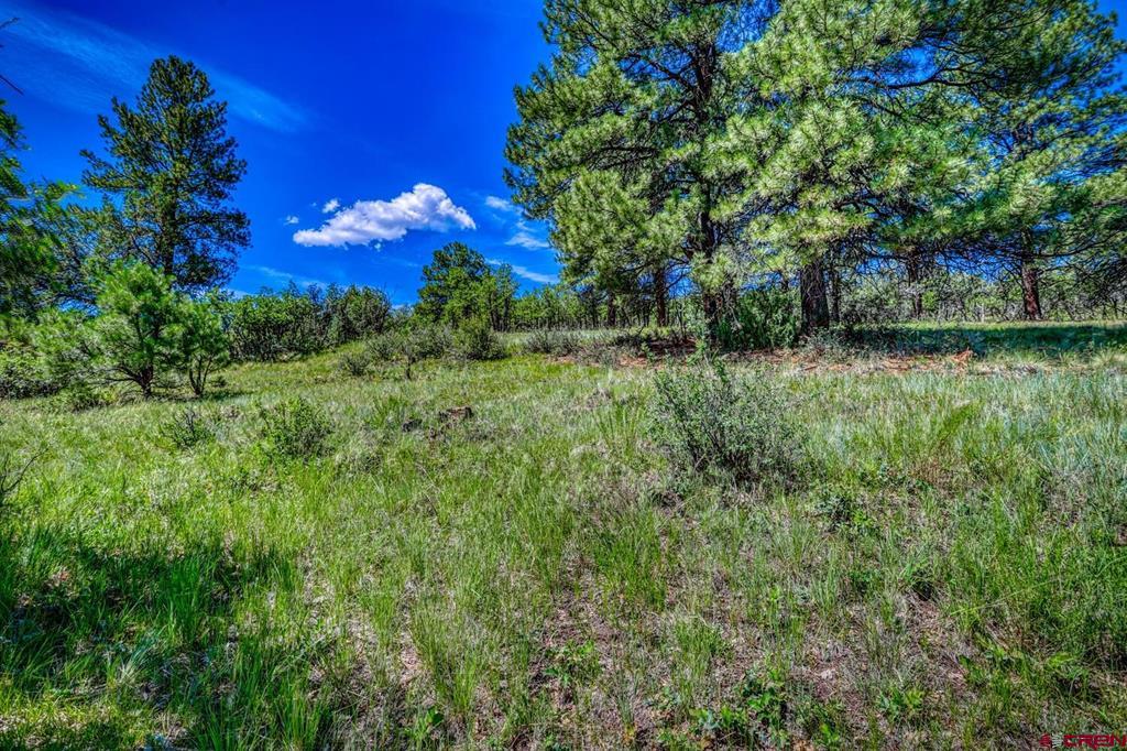 1084 Crowley Drive Chromo CO 81147