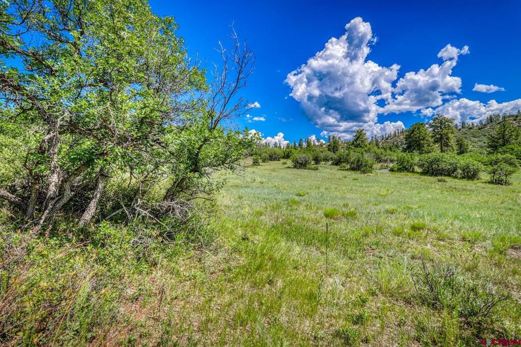 1084 Crowley Drive Chromo CO 81147