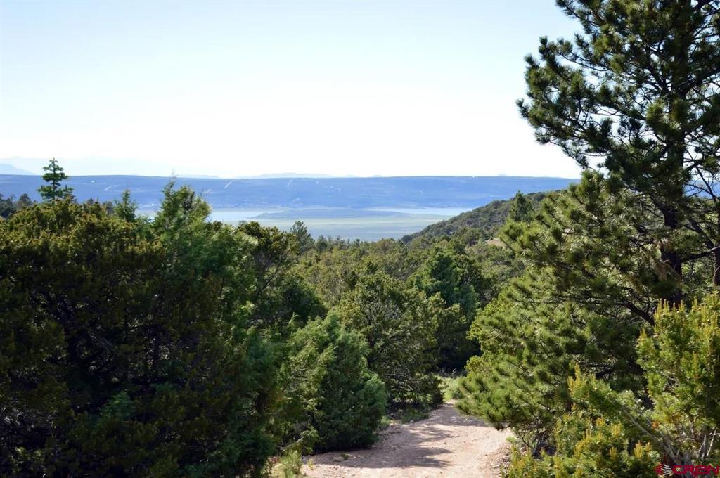 Lot 7 Mountain Ridge Lane San Luis CO 81152