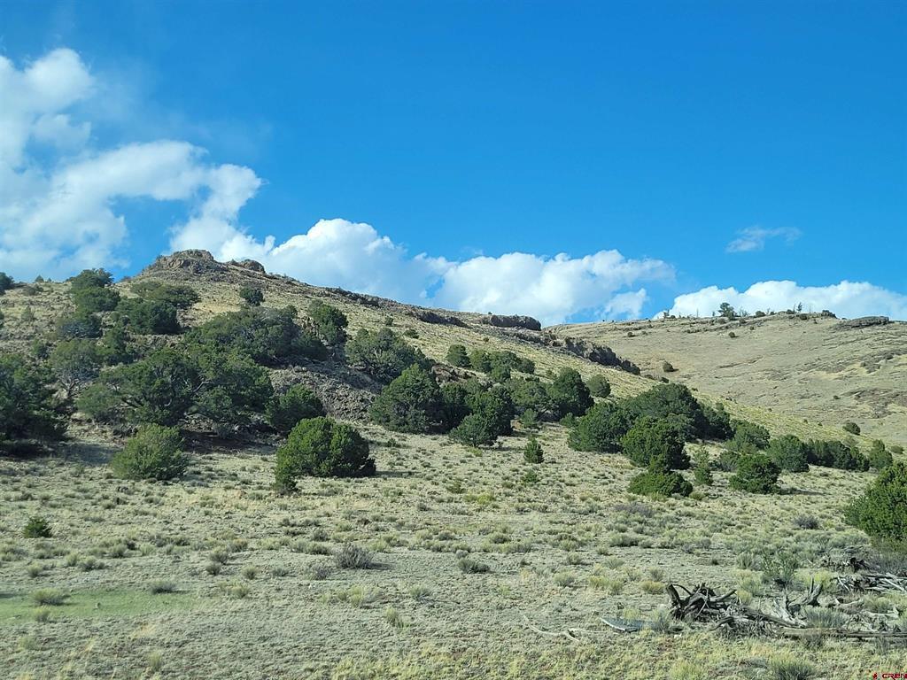 Tbd Cr 33hh Road Saguache CO 81149
