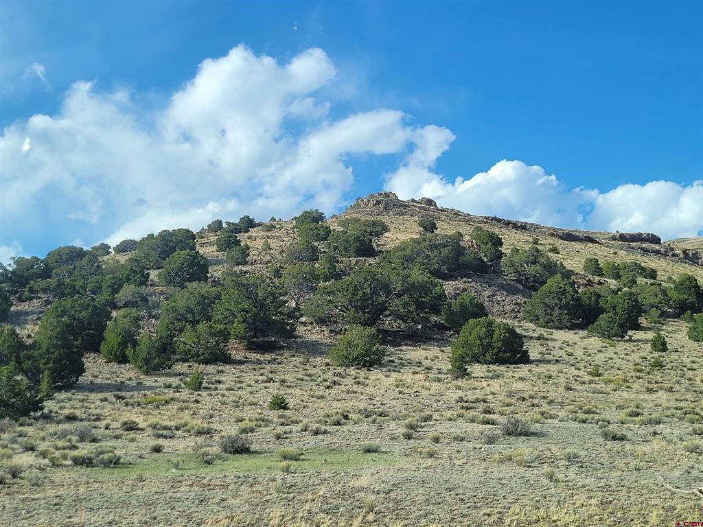 Tbd Cr 33hh Road Saguache CO 81149