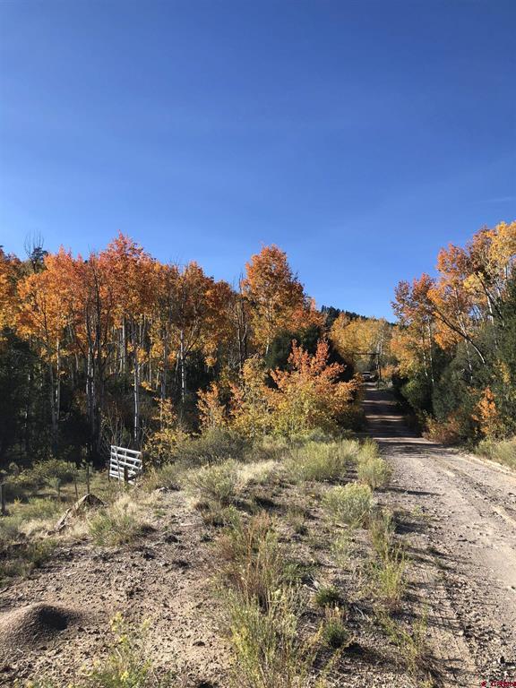 Tbd Cr 33hh Road Saguache CO 81149