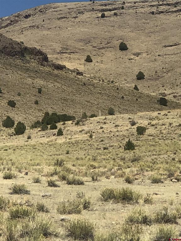 Tbd Cr 33hh Road Saguache CO 81149