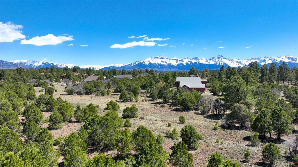 Tbd Canyon Drive Ridgway CO 81432