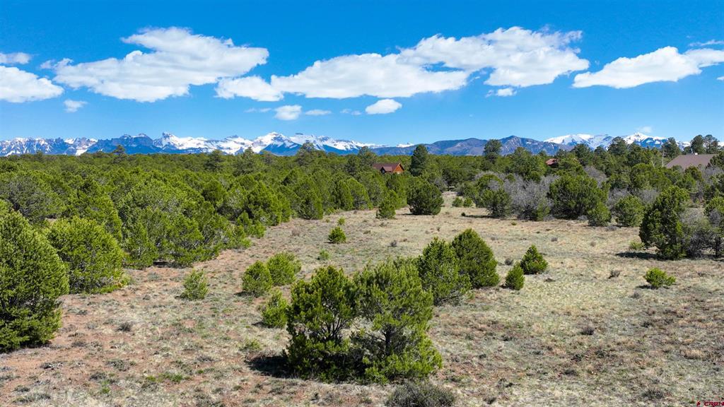 Tbd Canyon Drive Ridgway CO 81432