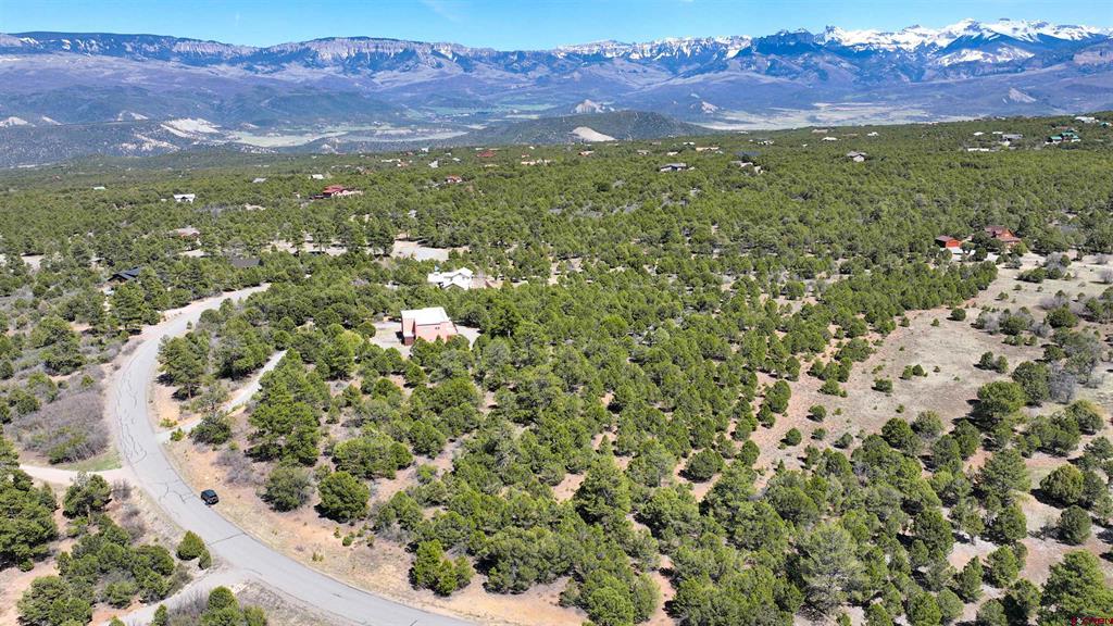 Tbd Canyon Drive Ridgway CO 81432
