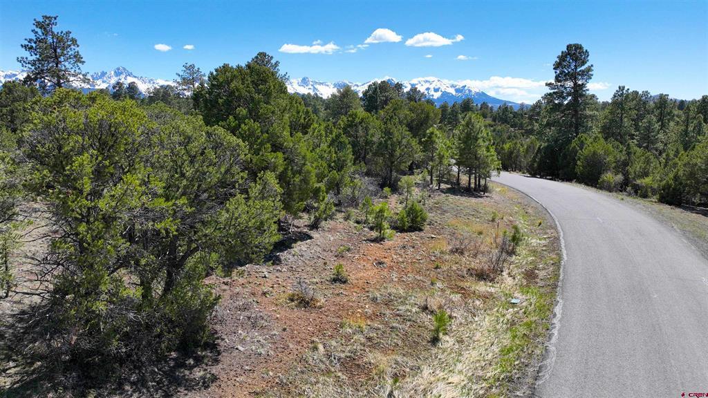 Tbd Canyon Drive Ridgway CO 81432