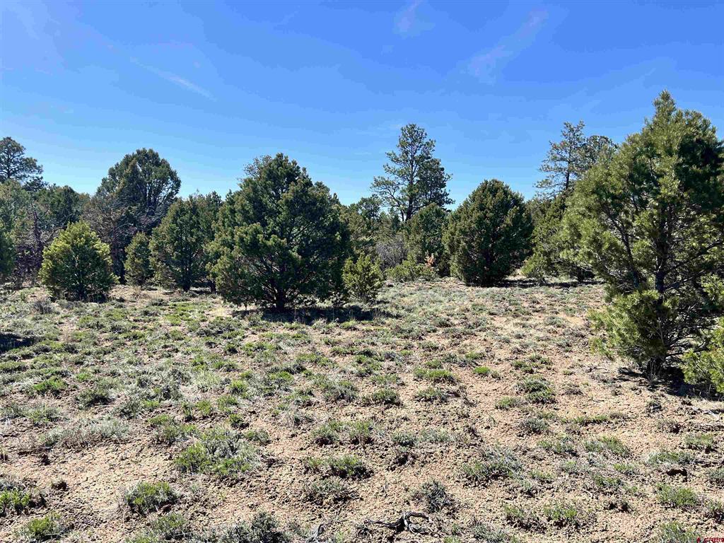 Tbd Canyon Drive Ridgway CO 81432